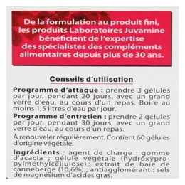 Juvamine Formule Concentrée Cranberry 60 gélules