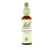 Bachblüten Geißblatt 20ml