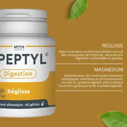 Monin Chanteaud Peptyl 60 gélules