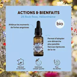 Biofloral Fleur De Bach 26 Rock Rose Heliantheme Compte Gouttes Bio 20 ml