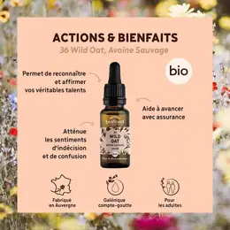 Biofloral Fleur De Bach 36 Wild Oat Avoine Sauvage Compte Gouttes Bio 20ml