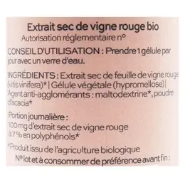 Phytalessence Pure  Extrait Sec de Vigne Rouge Bio 60 gélules