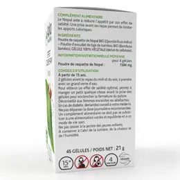 Arkopharma Arkogélules Nopal Bio 45 gélules