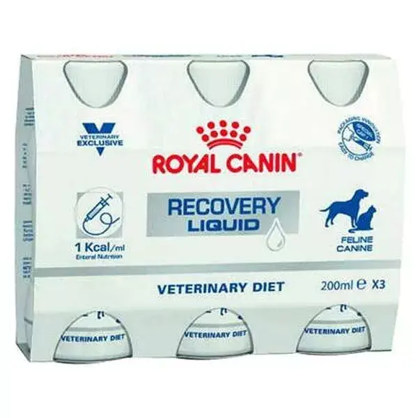 Royal Canin Veterinary Diet Recovery Chat Chien Solution Buvable 3 x 200ml