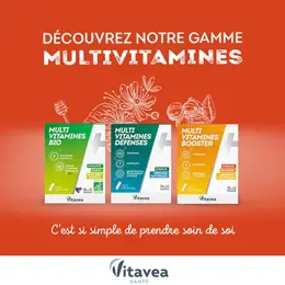 Vitavea Multi Vitamines Global Vitalité Equilibre nerveux 45 gélules