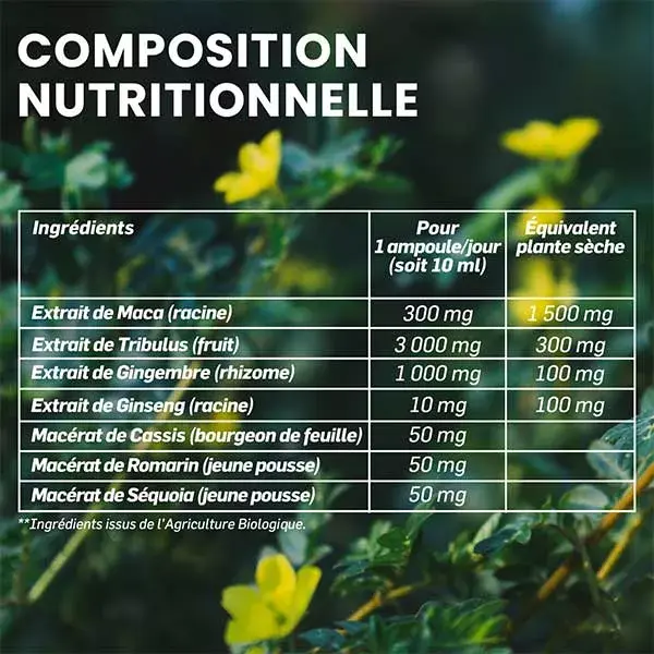 Santarome Bio Maca 1500 Tribulus Ginseng Gingembre Tonus Sexuel 20