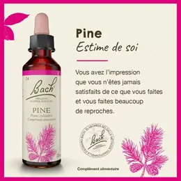 Fleurs de Bach® Original - Pine 20ml