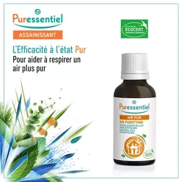 Puressentiel Diffusion Mélange Huiles Essentielles Diffuse Air Pur 30ml