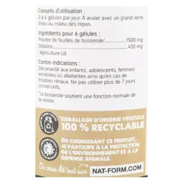 Nat & Form Original Busserole 200 gélules