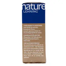 Lehning Nature Ribes Nigrum Mâcérat Glycériné Bio 60ml