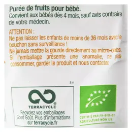 Good Goût Gourde Compote de Fruits Mangue +4m Bio 120g