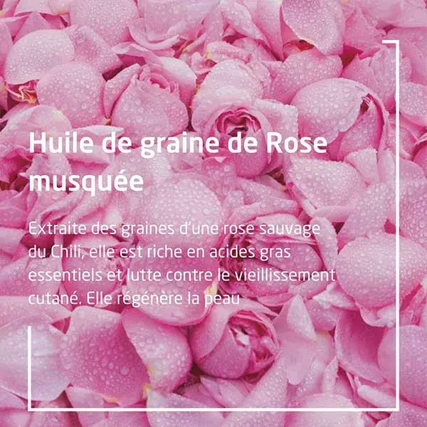 Weleda Rose Musquée Crème de Nuit Lissante 30ml