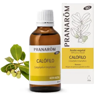 Oil plant Calophylla BIO Pranarôm 50 ml.
