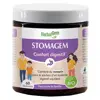 Herbalgem Stomagem 60 gummies