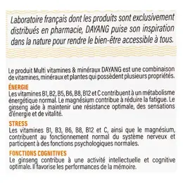 Dayang Complexe Multivitamines Ginseng Rhodiole 30 gélules