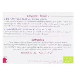 Nutrigée Infusion Circulation 10 Plantes 30 sachets