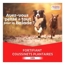 Clement Thekan Fortifiant Coussinets Chien Roll-on 70ml