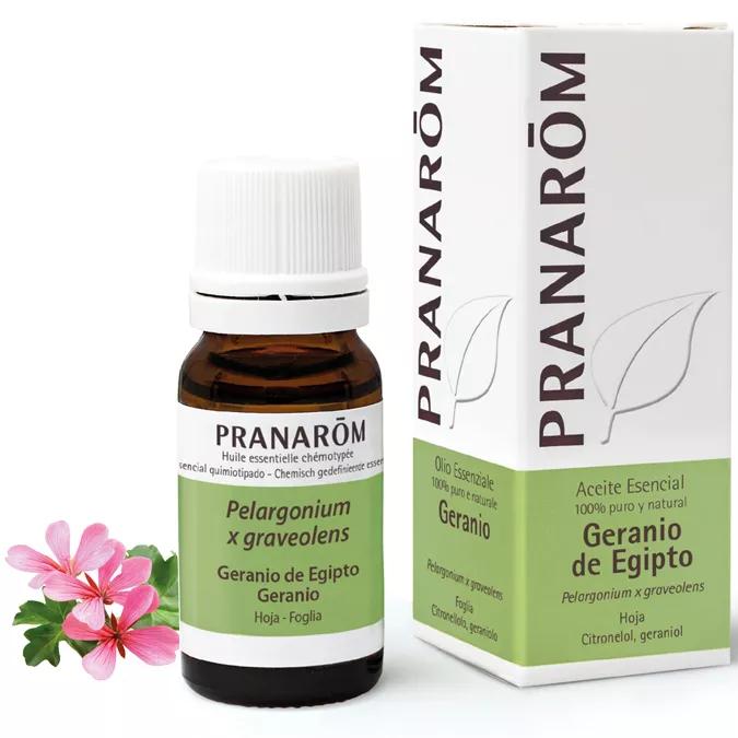 Pranarom Aceite Esencial de Geranio de Egipto 10 ml