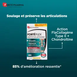 Forté Pharma Forté Flex Articulations Collagène Type II et Curcuma 90 gélules