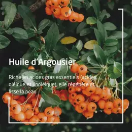 Weleda Argousier Huile Dynamisante Bio 100ml