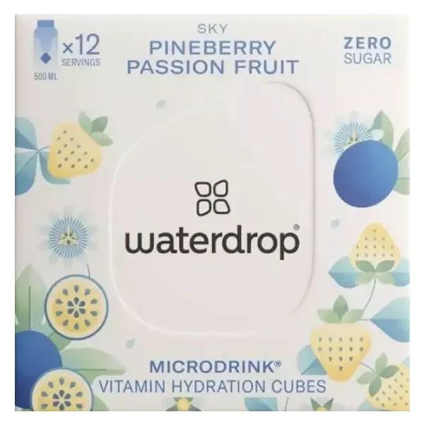 Waterdrop - Cubes d'hydratation mûre - 12 portions - Boutique en ligne
