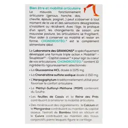 Granions Chondrostéo Articulations 180 comprimés