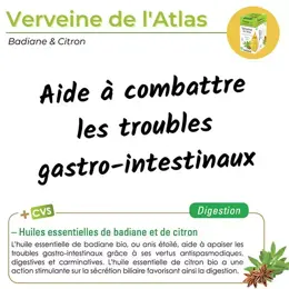 Nutrigée Infusion Bio Verveine de l'Atlas 20 sachets