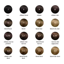 Phyto PhytoColor Coloration Permanente N°1 Noir