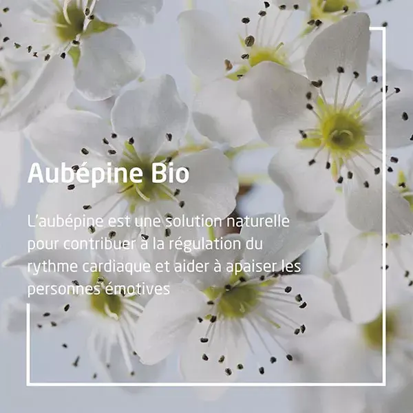 Weleda Extraits de Plantes Aubépine Bio 60ml