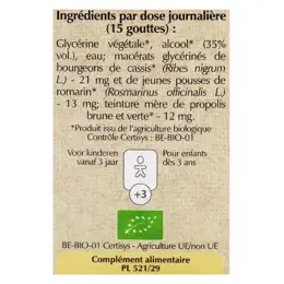 Herbalgem Complexe de Gemmothérapie Allargem Protection Bio 30ml