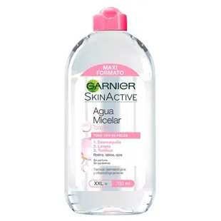 Garnier Água Micelar Tudo em 1 700 ml