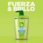 Garnier Fructis Shampoo Forza e Lucentezza per Capelli Normali 360 ml