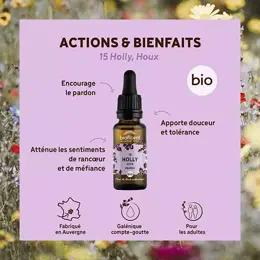 Biofloral Fleur De Bach 15 Holly Houx Compte Gouttes Bio Demeter 20 ml