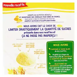 Blédina Blédine Céréales Saveur Biscuit +6m 400g