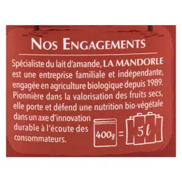 La Mandorle Boisson Instantanée en Poudre Lait d'Amande Châtaigne Bio 400g