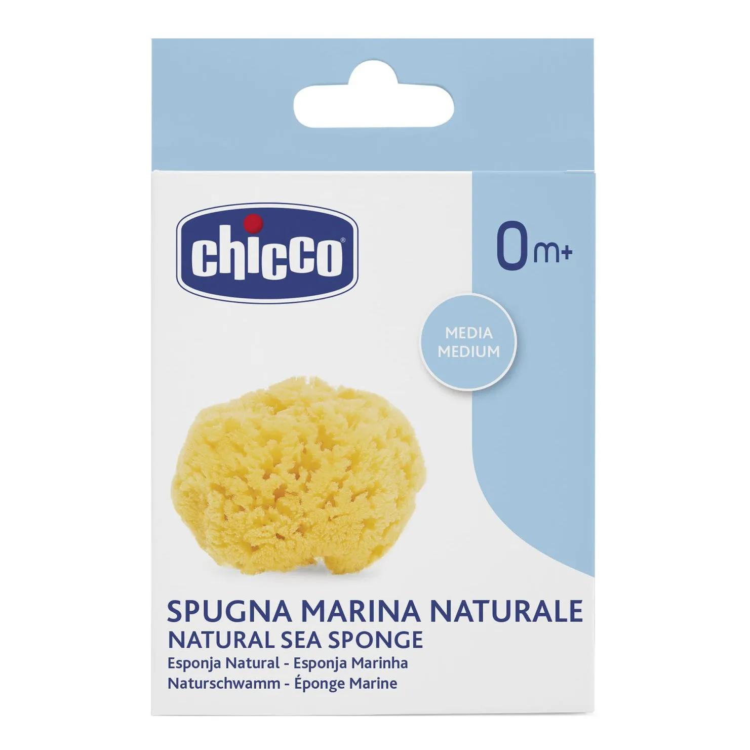 Chicco Spugna Marina Caraibica Media