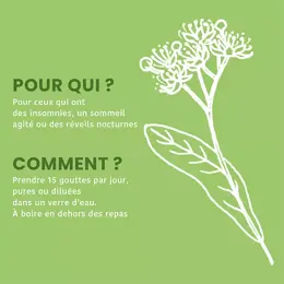 Santarome Bio - Bourgeon de Tilleul Bio - Gémmothérapie - Flacon de 30ml