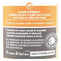 Nat & Form Écoresponsable Prêle Bio 200 gélules