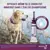 Vectra® 3D solution spot-on pour chiens de 1,5–4 kg 12 pipettes