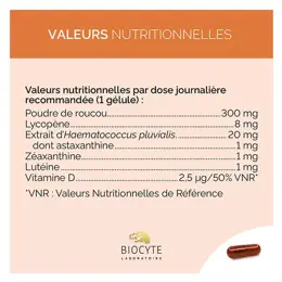 Biocyte Terracotta Solaire Autobronzant Hâle Sublimé Sans Soleil 90 gélules