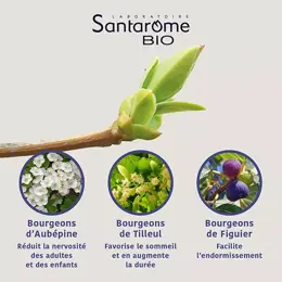 Santarome Bio - Tri Complexe de Bourgeons Sommeil Bio - Flacon de 30ml