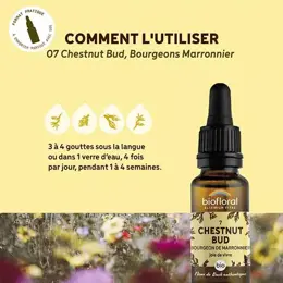 Biofloral Fleur De Bach 07 Chestnut Bud Bourgeons Marronnier Bio 20 ml