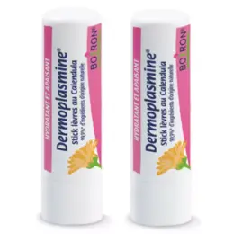 Boiron Dermoplasmine Stick à Lèvres au Calendula Bio Lot de 2 x 4g