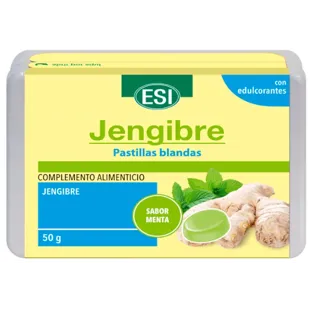 ESI Ginger Mint Soft Lozenge 50g