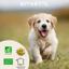 Vetobiol Probiotiques Protect'Immun Perros Pequeños Bio 25g