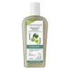 Dermaclay Shampoing Traitant Bio Cheveux Gras Argile Verte 250ml