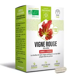 Dayang Phytothérapie Vigne Rouge Bio 30 gélules