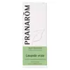 Pranarom Huile Essentielle Lavande Vraie 10ml