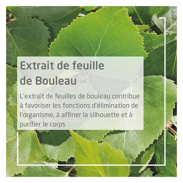 Weleda Détox et Vitalité Jus de Bouleau Bio 250ml