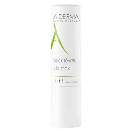 A-Derma Les Indispensables Stick Lèvres Réparation Intense 4g